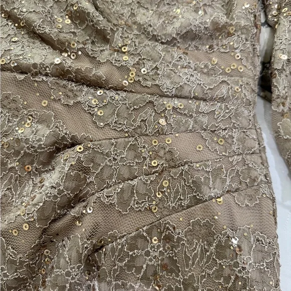Jessica Howard Elegant sequins & Lace Dress in champagne color - Picture 7 of 10